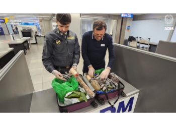 Erano in bagagli di passeggeri di tutto il mondo