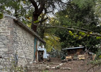 'Sarebbe segnale di una giustizia non solo rigorosa ma anche umana'