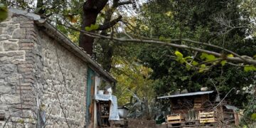 'Sarebbe segnale di una giustizia non solo rigorosa ma anche umana'