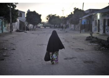 Il gruppo militante somalo: 'Lo Stato ebraico si espande in territori somali'