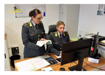 Indagine per turbata libertà procedimento di scelta contraente