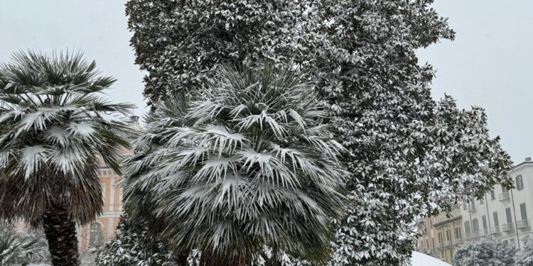 Colpite in giornata soprattutto le aree tirreniche e il Nord-Ovest