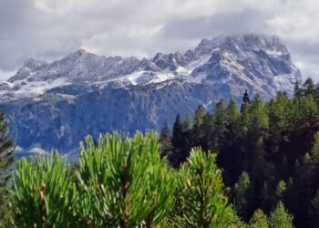 Incidente al confine tra Lombardia e Svizzera