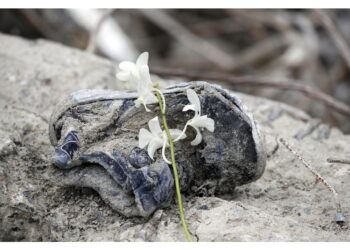 'Situazione terribile' a Mrauk U