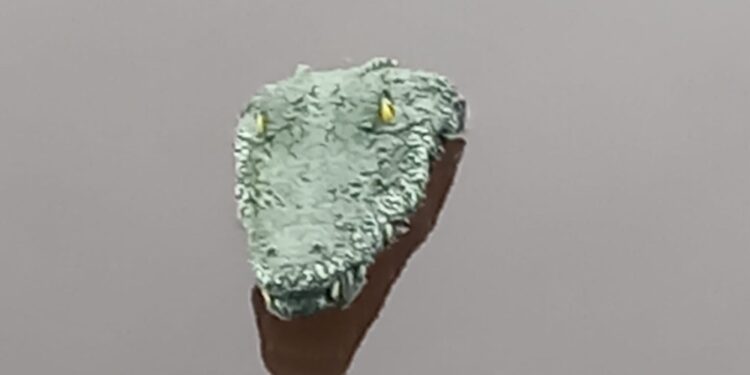 Dall'Abruzzo parte un progetto di ricerca