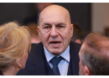 'Nell'Ue non per motivi politici