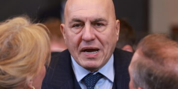 'Nell'Ue non per motivi politici