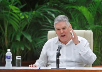 Vicino a Díaz-Canel