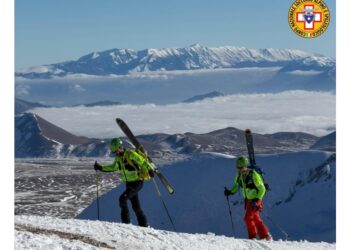 La gemella del 44enne chiede sostegno da parte di organizzazioni polacche