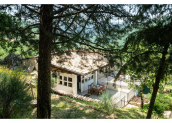 Poi dovrebbe trasferirsi in una struttura offerta dal comune di Palmoli