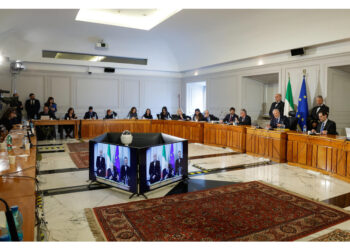 'Ma varie sue disposizioni violano competenze statali'