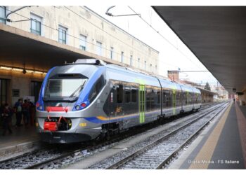Impatto contro circa 20 esemplari fra San Romano e San Miniato