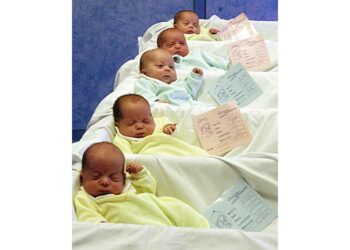 Calo dal 25% al 21% in un anno. Il report