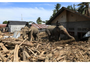Inviati nelle zone in cui non potevano arrivare i macchinari pesanti