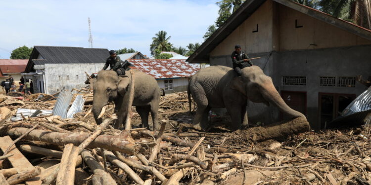 Inviati nelle zone in cui non potevano arrivare i macchinari pesanti