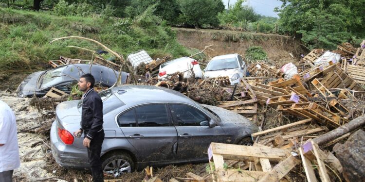 Video condivisi sui social