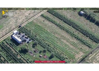 Blitz della Guardia di Finanza