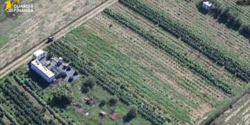 Blitz della Guardia di Finanza