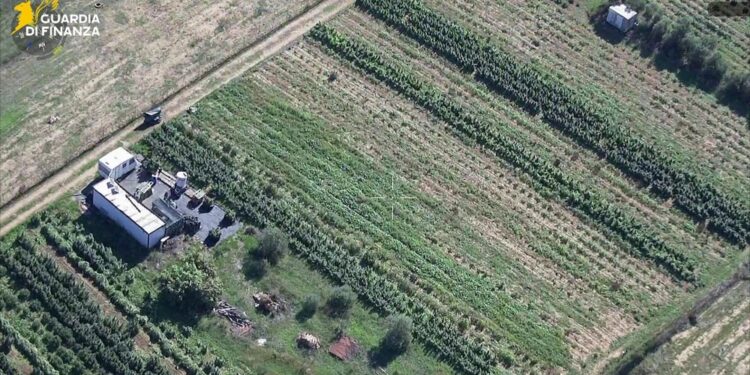 Blitz della Guardia di Finanza