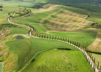 Contenuti editoriali