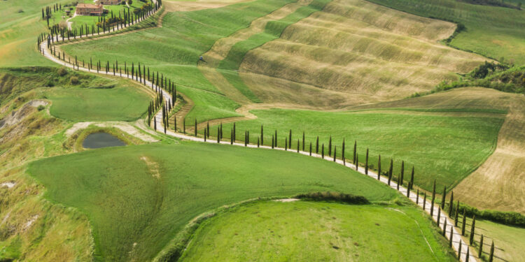 Contenuti editoriali