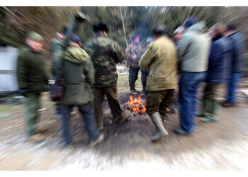 Colpo sparato da un compagno di battuta al cinghiale