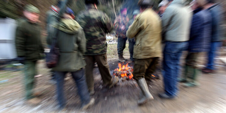 Colpo sparato da un compagno di battuta al cinghiale