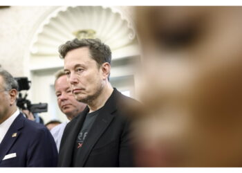 Replica a un post con una svastica che sotto la bandiera europea