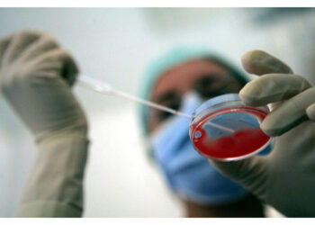 Fecondazione assistita è nei Lea