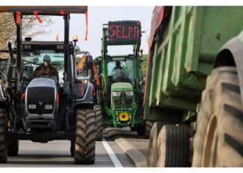 Soglia dell'8% su import e più controlli su produzione e sicurezza