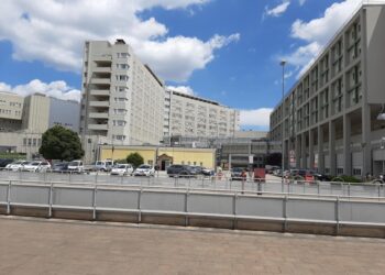 Ha 'perso anche la madre nel bombardamento della loro casa' spiega la presidente