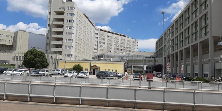 Ha 'perso anche la madre nel bombardamento della loro casa' spiega la presidente