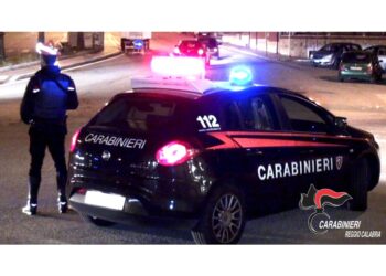 Nel reggino malviventi armati anche con fucili. Vittima non è in pericolo