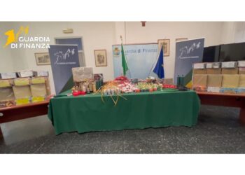 L'operazione della Guardia di Finanza