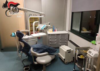 Il Nas ha trovato l'uomo al lavoro