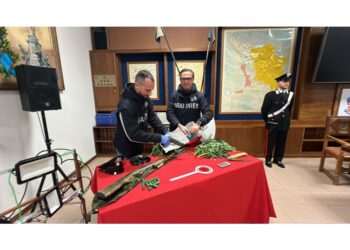 Operazione Penny Black su indagini dei carabinieri di Cecina