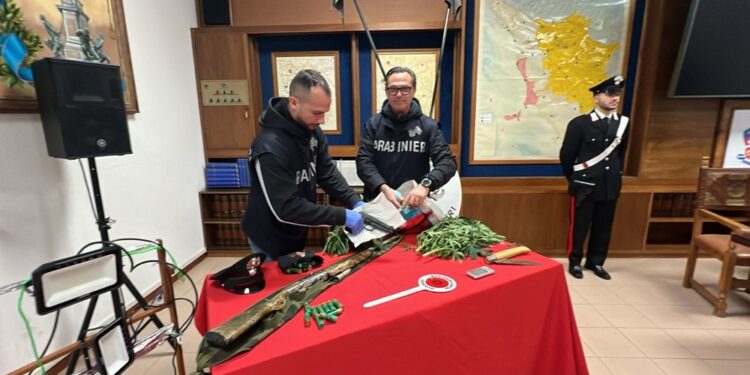 Operazione Penny Black su indagini dei carabinieri di Cecina