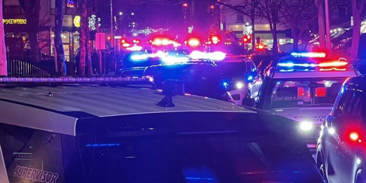 'Caccia allo sparatore ancora in corso