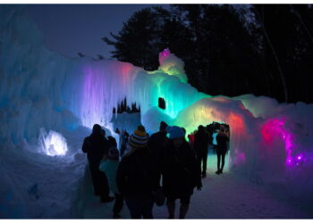 Studio di ricercatori di Ictp Trieste e Università Chicago