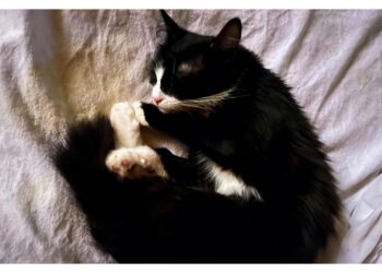 L'udienza preliminare si terrà il 27 gennaio