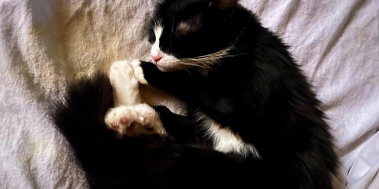 L'udienza preliminare si terrà il 27 gennaio