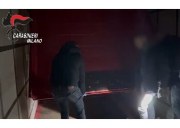 Erano su un camion proveniente dalla Spagna