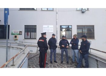 I giudici sulla famiglia del bosco