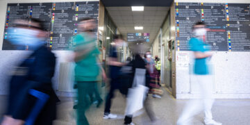 La decisione del giudice di Genova