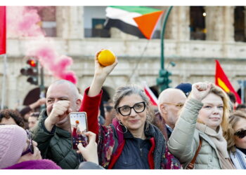 'Per dichiarazioni che