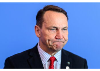 Medvedev approva il post del patron di X su 'abolizione Ue'