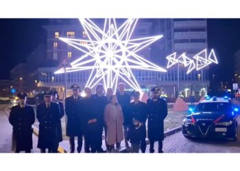 L'opera stilizzata è stata posta vicino al Comando provinciale dell'Arma