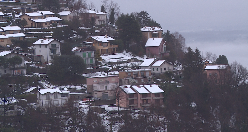 Como: 1,5 milioni per la tutela delle foreste