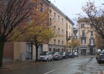 ciliegi via XX Settembre