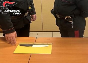 donna minaccia vicini